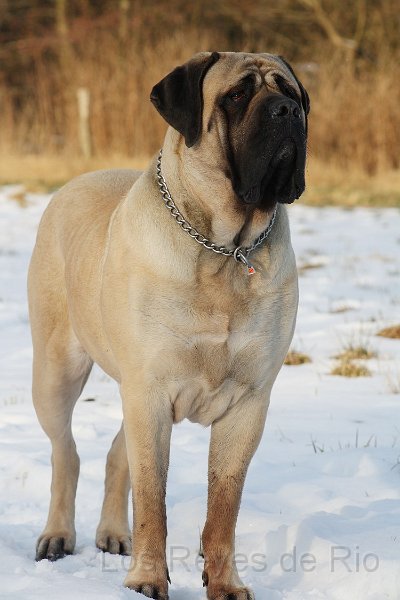 Franka, 15 months, 22. march 2013 016.jpg - Noch Fragen?